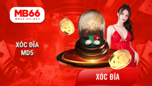 Xóc đĩa MD5
